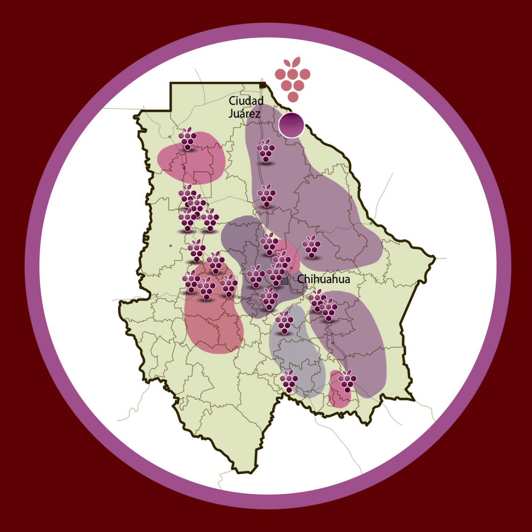 El panorama vinícola de Chihuahua elnorte