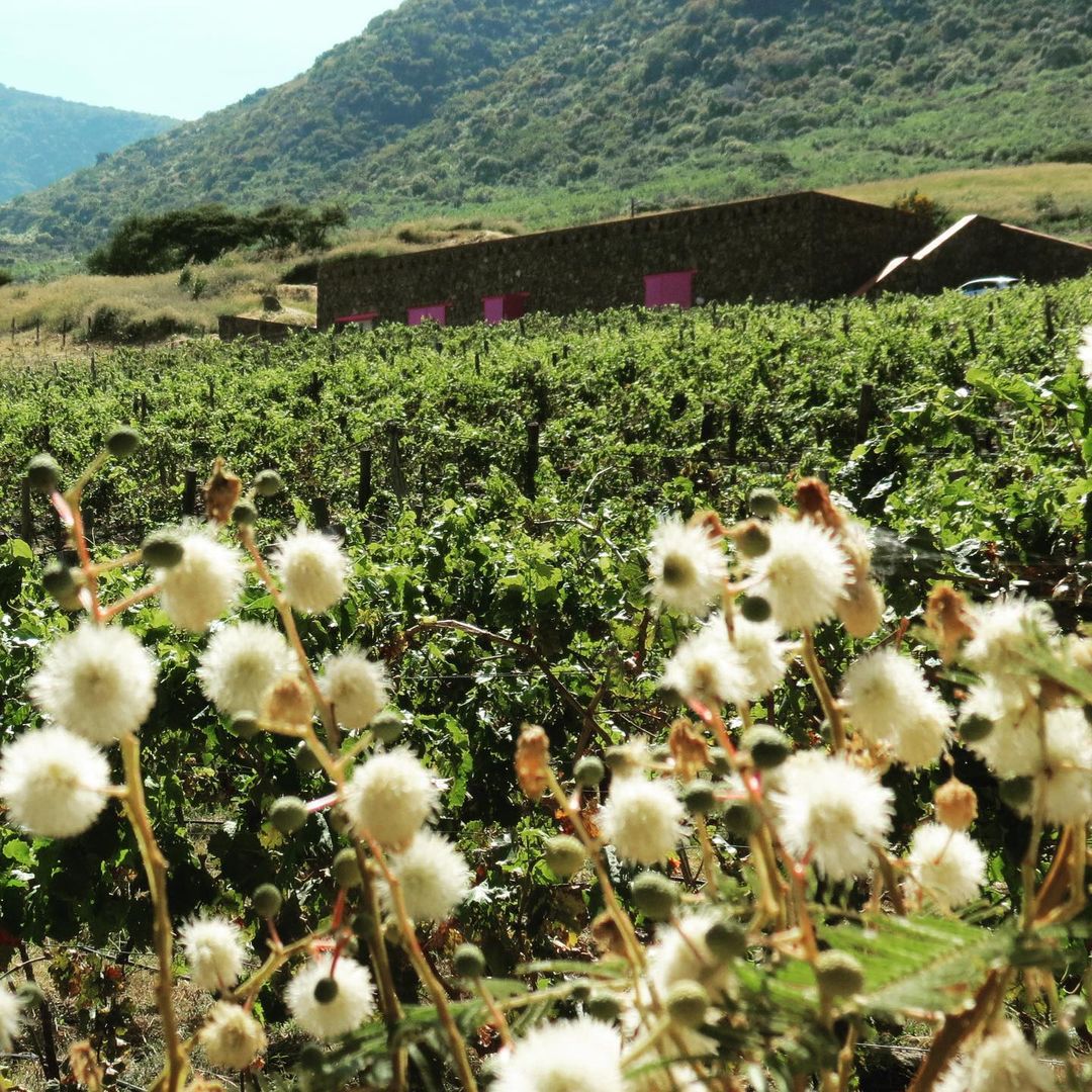 122246422_179734640433675_1962468583272567228_n