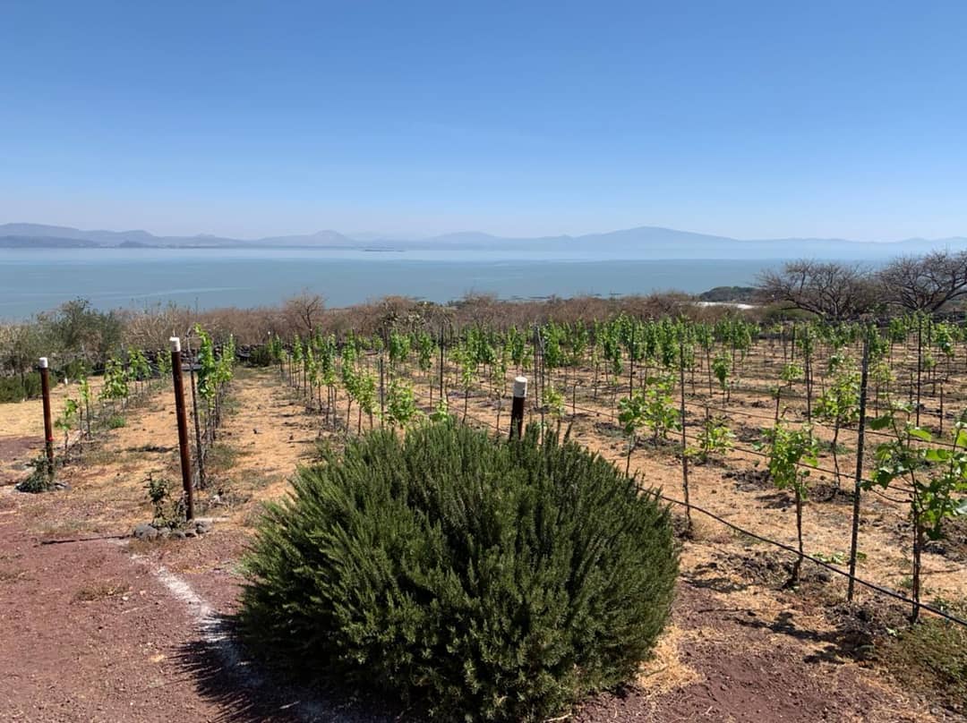 170600492_929763227851632_8778803920148552056_n