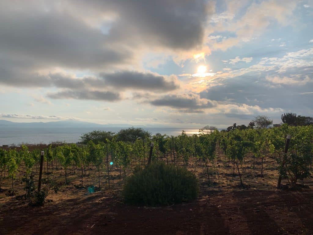 185527973_770091280340960_3837901210652462323_n