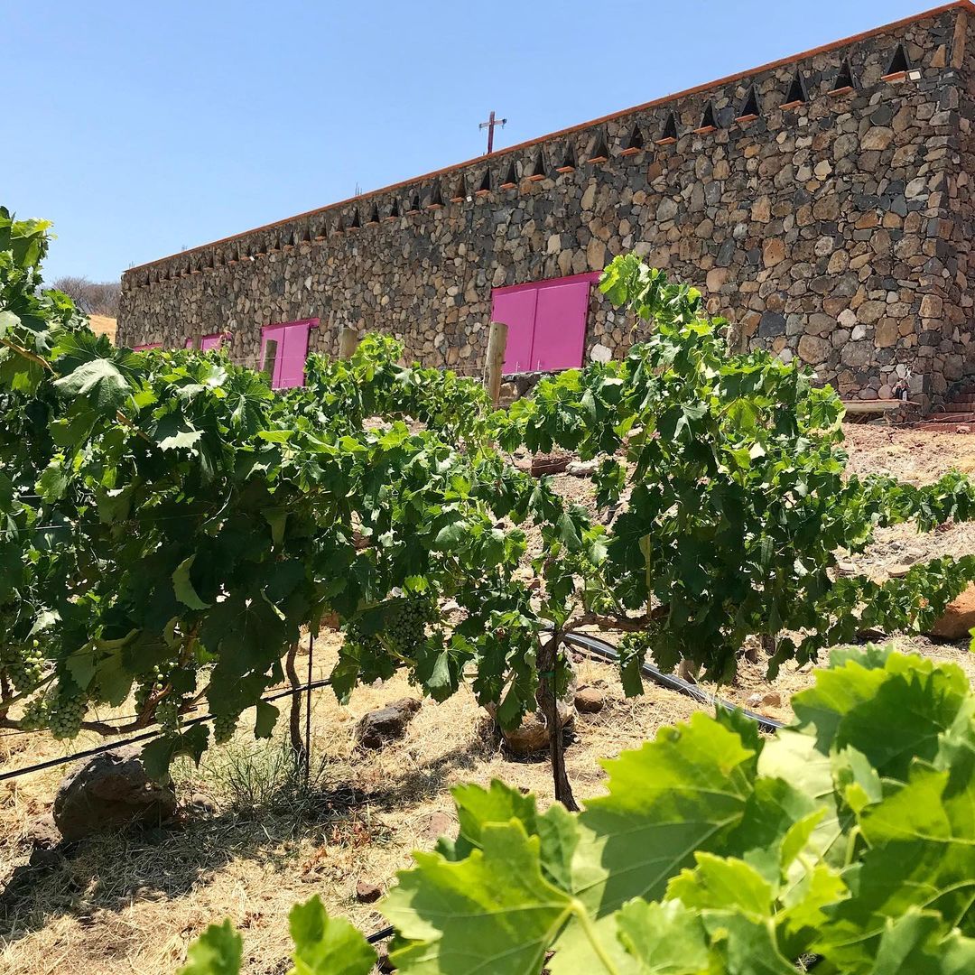 189460187_914809756040963_4937393934270116530_n