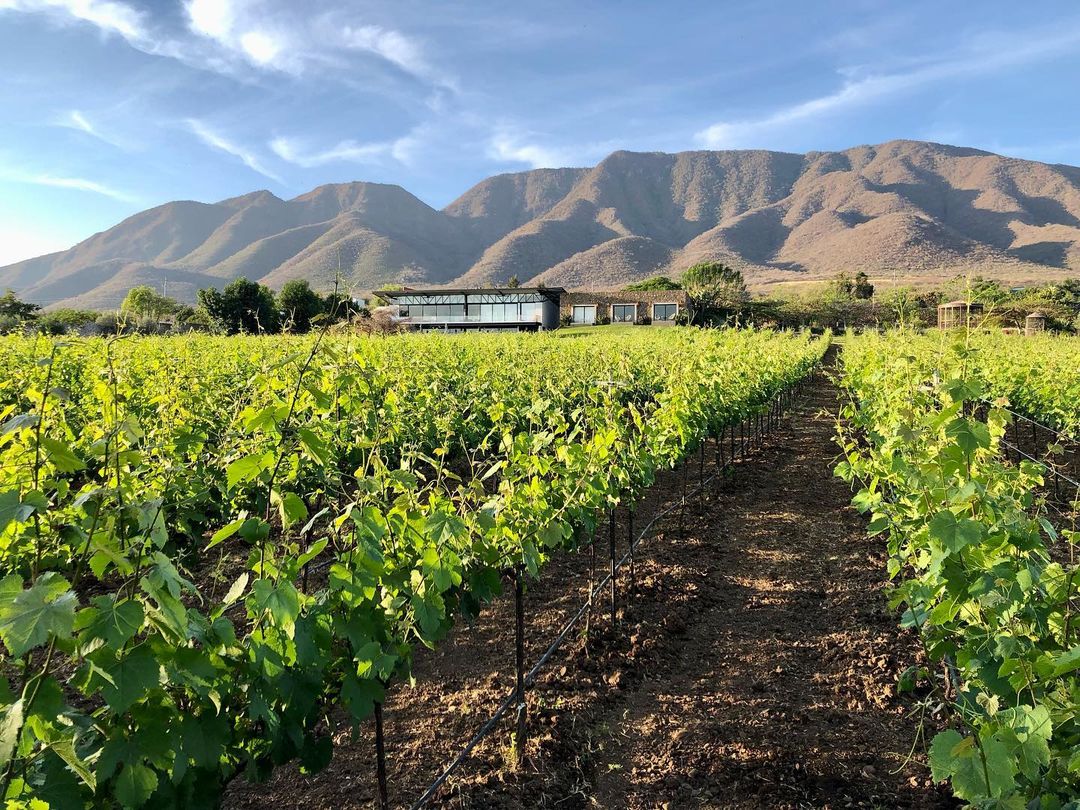 277895533_3318724655115677_6094962064628427307_n