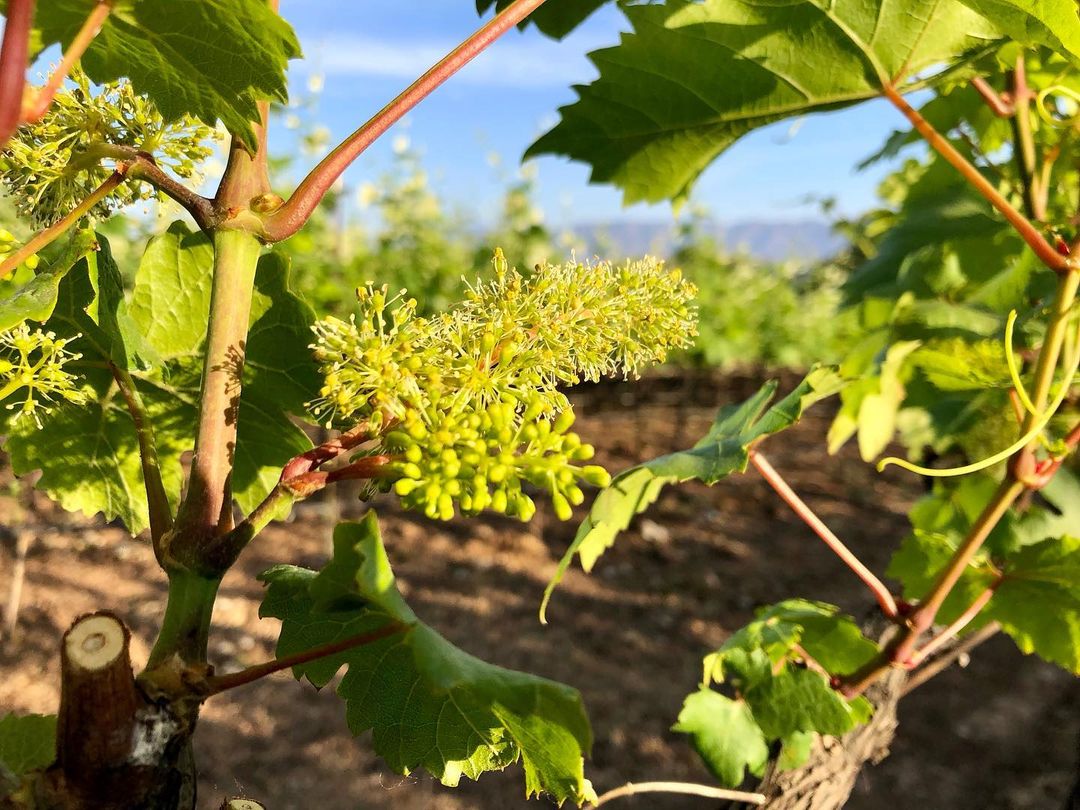 277896813_2073025326213143_3931517104681152476_n