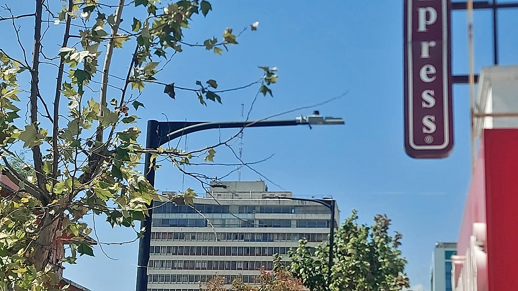 N7329704