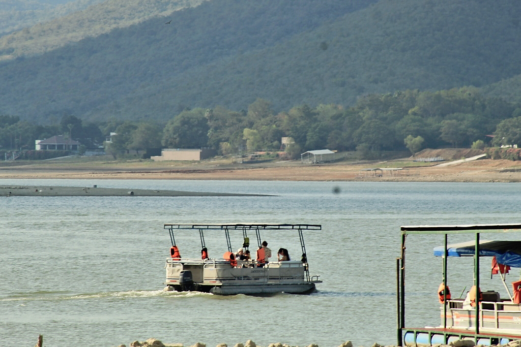 N7333696