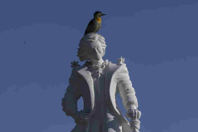 'El Principito'