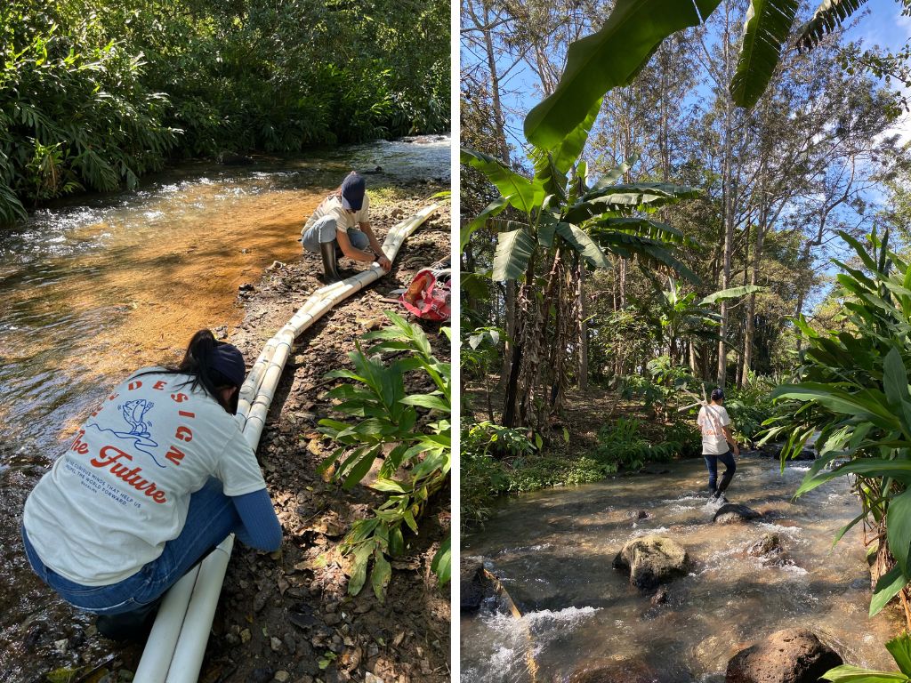 Sopladores de aire en forma de barreras crean burbujas para empujar los residuos a la superficie. Foto: Bluekali.