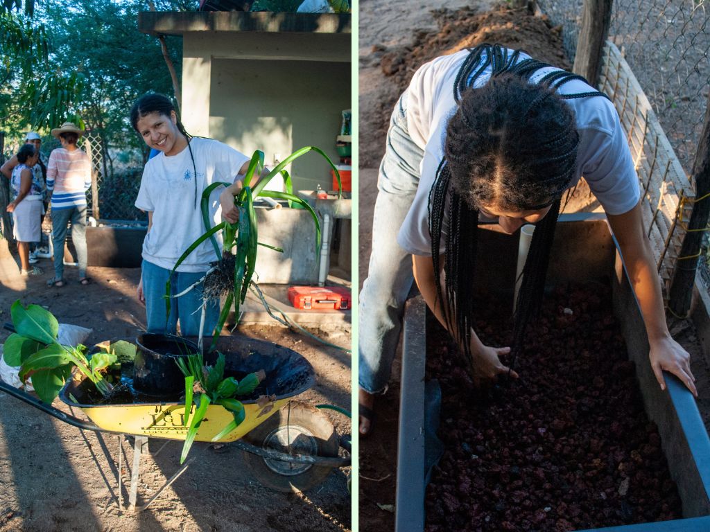 Los biofiltros contienen sustratos de piedras y plantas fitorremediadoras. Foto: Sara Rojas.