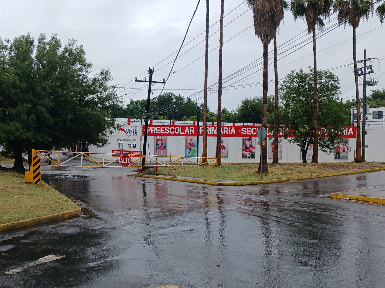 WhatsApp Image 2024-06-19 at 16.10.37