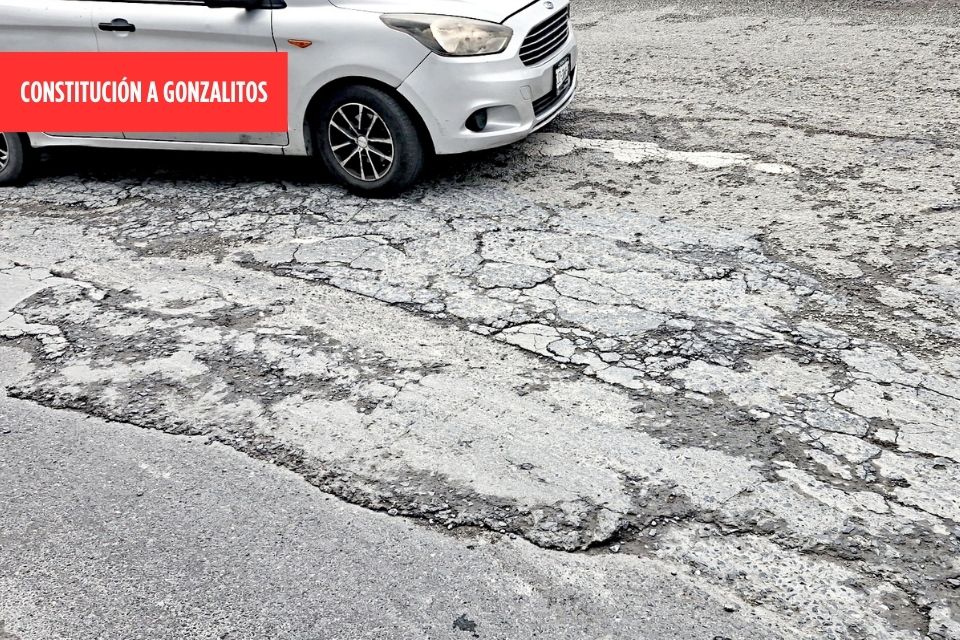 plantilla horizontal (3)