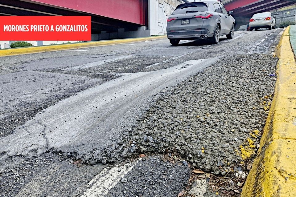 plantilla horizontal