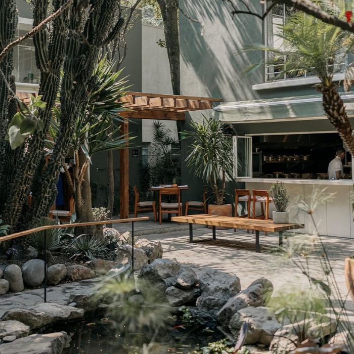 Diseño sin título - 2025-02-06T125023.381