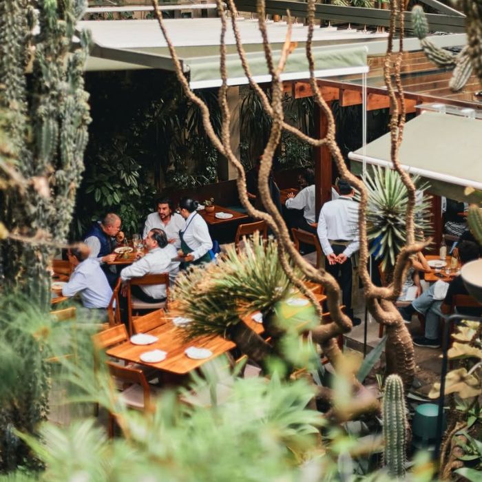 Diseño sin título - 2025-02-06T125038.827