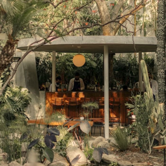 Diseño sin título - 2025-02-06T125151.577