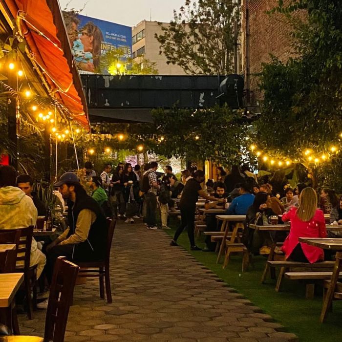 Diseño sin título - 2025-02-06T144235.490