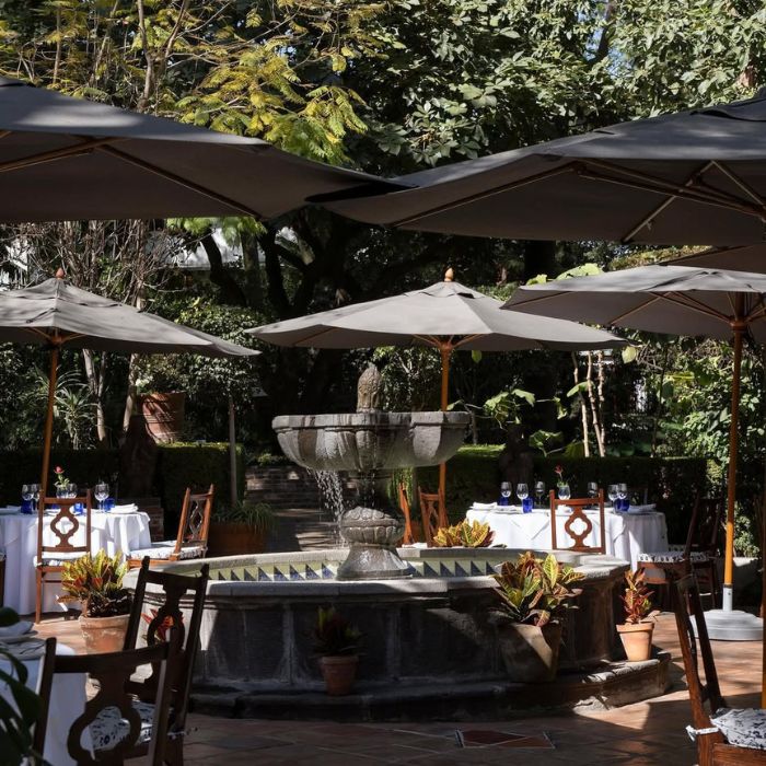 Diseño sin título - 2025-02-06T165749.864