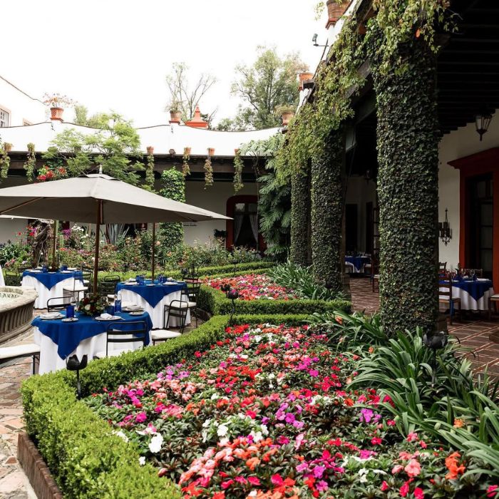 Diseño sin título - 2025-02-06T165802.197