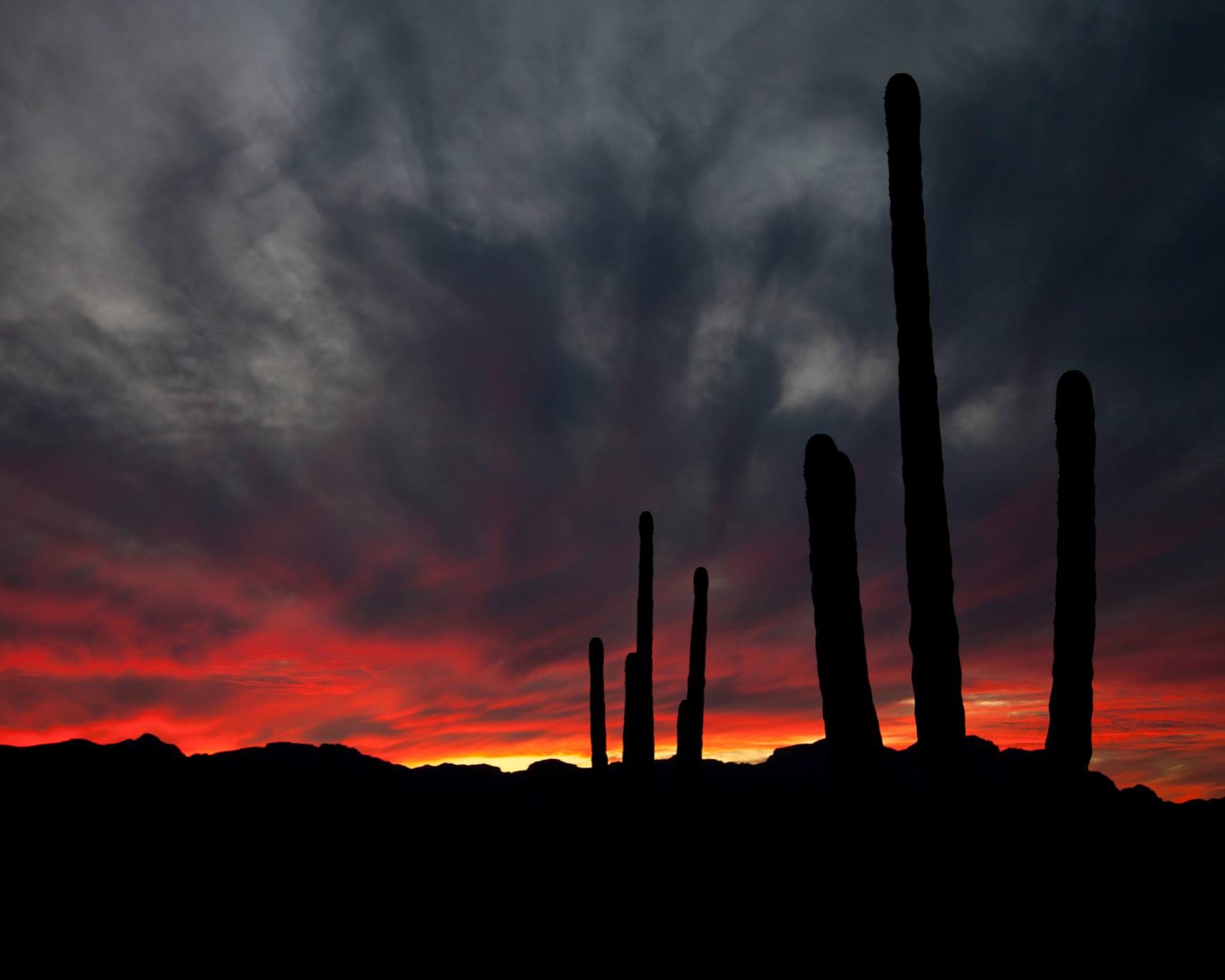 Atardecer_en_el_desierto_de_Reserva_Vizcaino....foto_de_AB