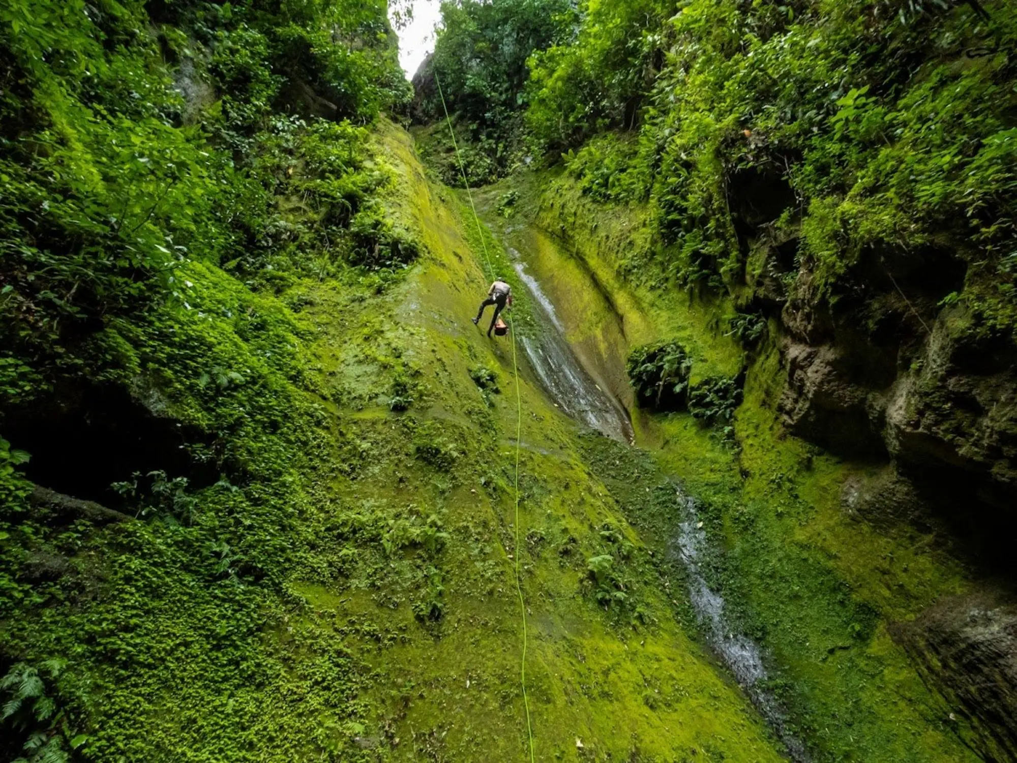 Canon-Espinas-3