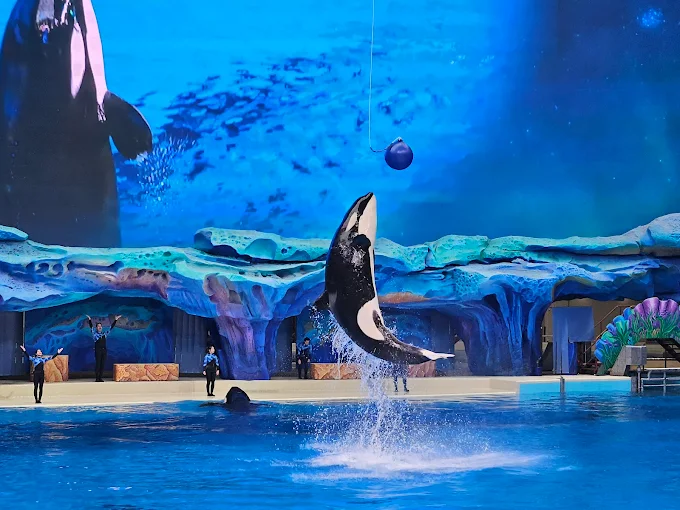 Chimelong Ocean Kingdom (China)