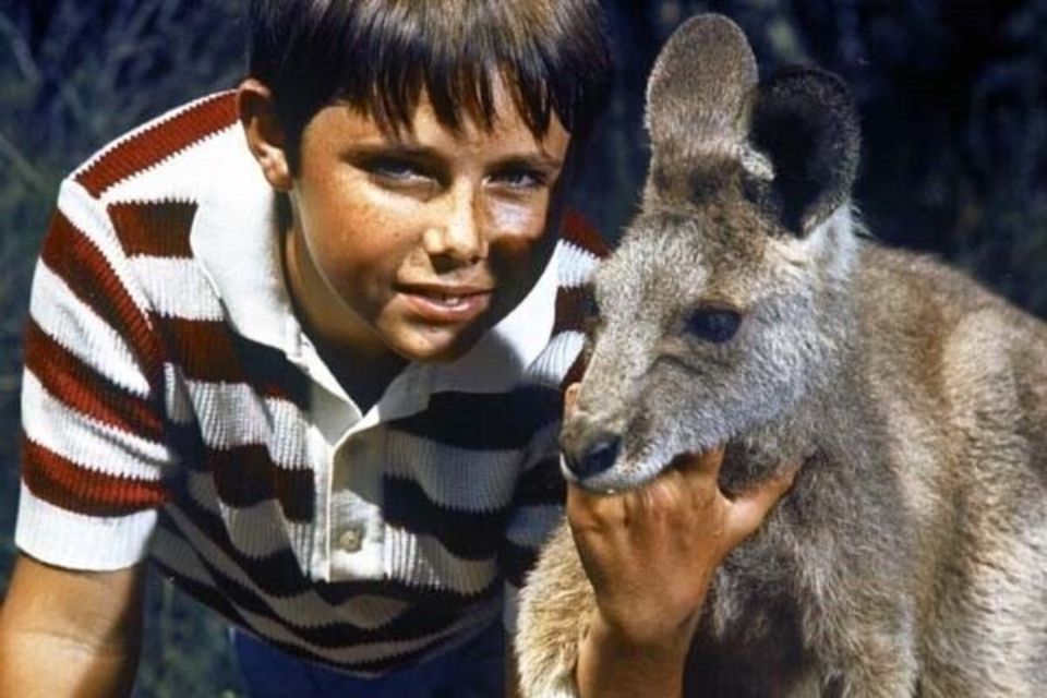 Baúl de los Recuerdos: Skippy
