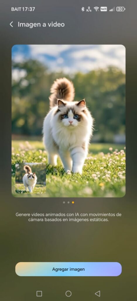 Los videos de animales resultan precisos. Puedes "revivir" un recuerdo de tu michi
