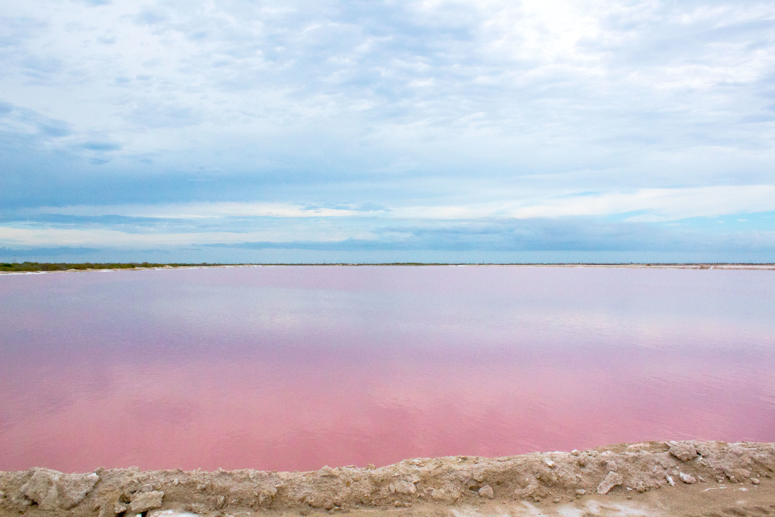 coloradas-scaled