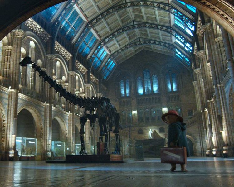 side escena de peli en historia natural y Paddington