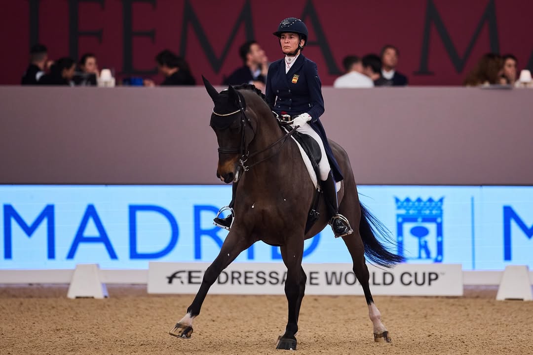 ✨🐴 ¡Gracias a todos los que han hecho posible otra increíble edición de @ifemamadridhorseweek ! (2)