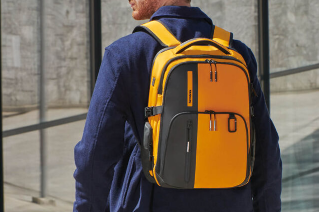 Samsonite Biz2Go.