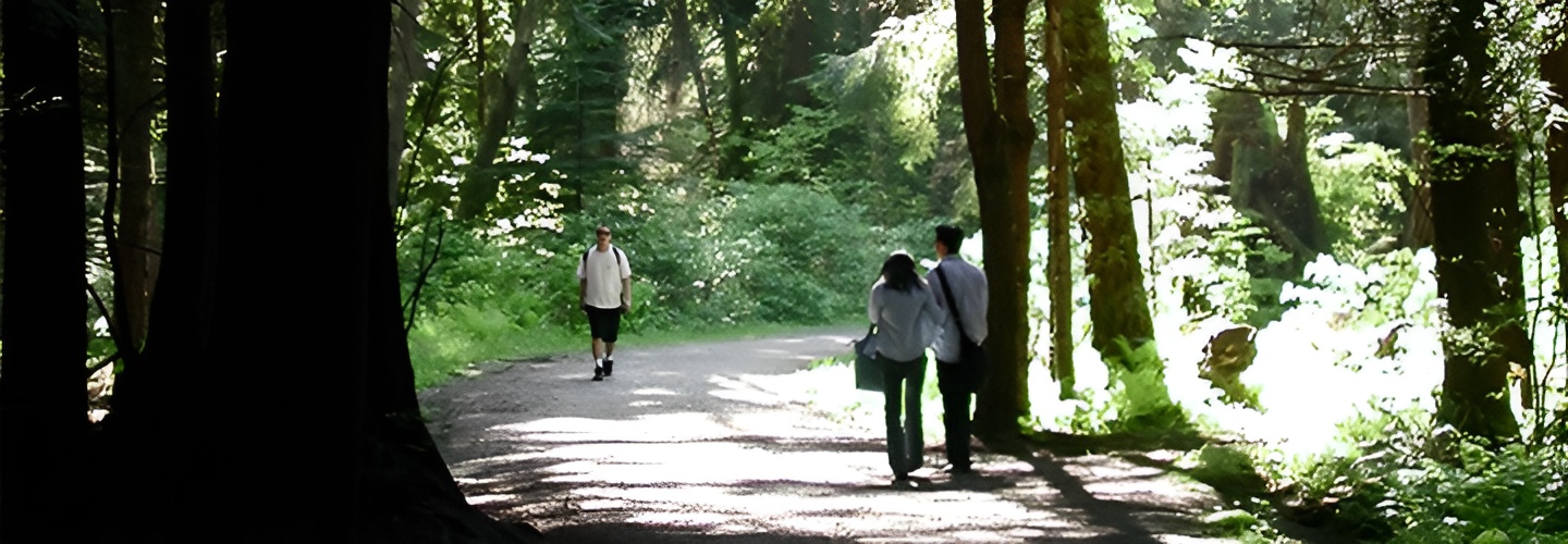 Stanley-Park-trails-720-250 (1)