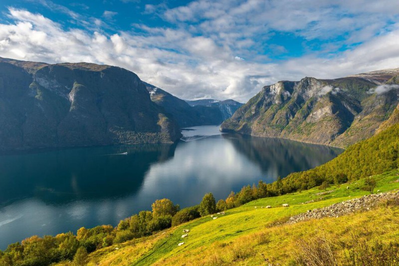 fiordo de Sognefjord3
